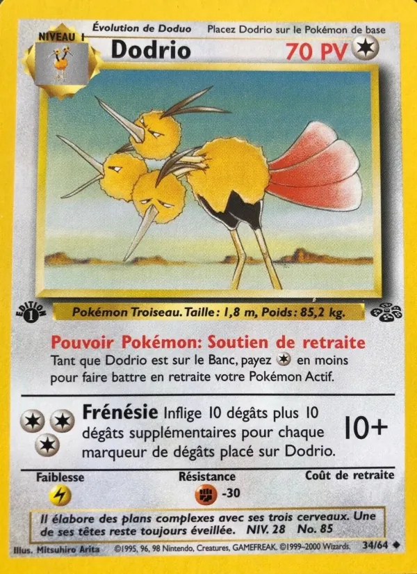Carte Dodrio 34/64 – Jungle