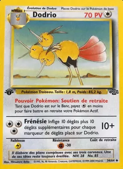 Carte Dodrio 34/64 – Jungle