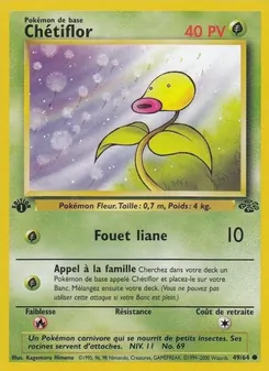 Carte Chétiflor 49/64 – Jungle