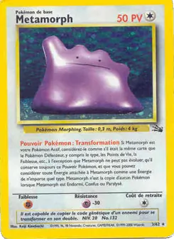 Carte Métamorph 3/62 – Fossile