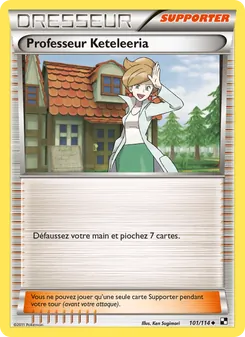 Carte Professeur Keteleeria 101/114 – Noir & Blanc