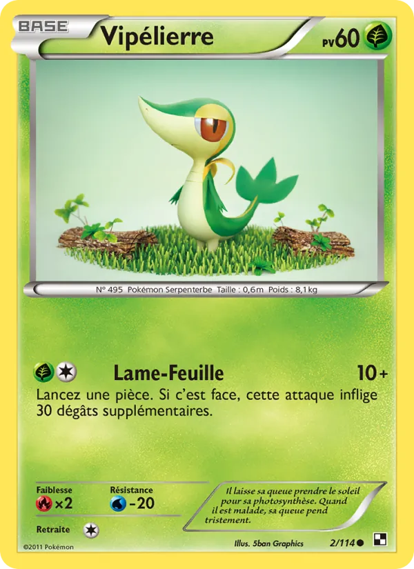 Carte Vipélierre 2/114 – Noir & Blanc