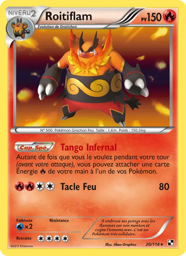 Carte Roitiflam 20/114 – Noir & Blanc
