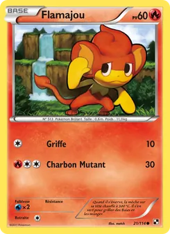 Carte Flamajou 21/114 – Noir & Blanc