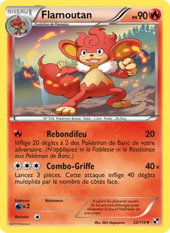 Carte Flamoutan 22/114 – Noir & Blanc