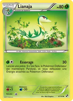 Carte Lianaja 4/114 – Noir & Blanc