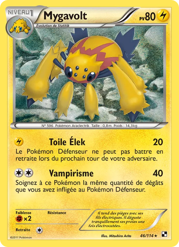 Carte Mygavolt 46/114 – Noir & Blanc