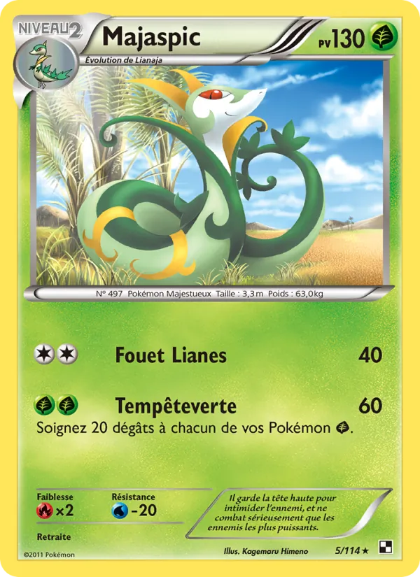 Carte Majaspic 5/114 – Noir & Blanc