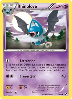 Carte Rhinolove 51/114 – Noir & Blanc
