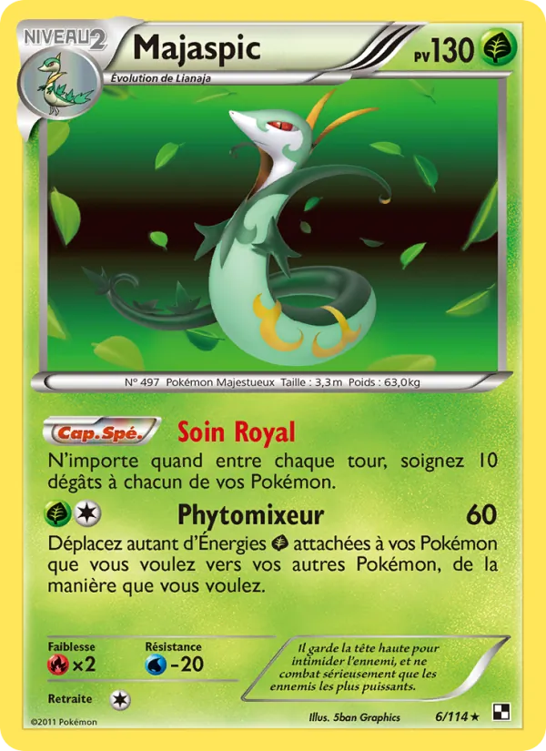 Carte Majaspic 6/114 – Noir & Blanc