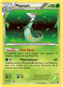 Carte Majaspic 6/114 – Noir & Blanc