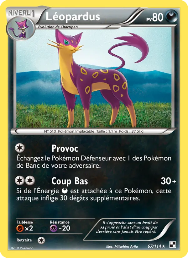 Carte Léopardus 67/114 – Noir & Blanc