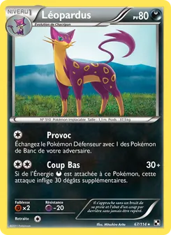Carte Léopardus 67/114 – Noir & Blanc