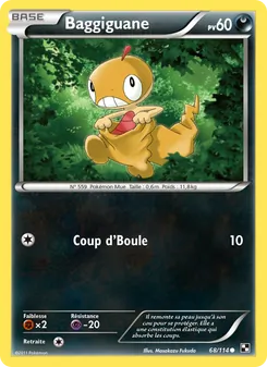 Carte Baggiguane 68/114 – Noir & Blanc
