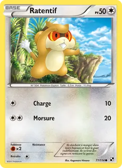 Carte Ratentif 77/114 – Noir & Blanc
