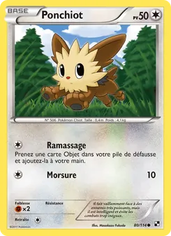 Carte Ponchiot 80/114 – Noir & Blanc