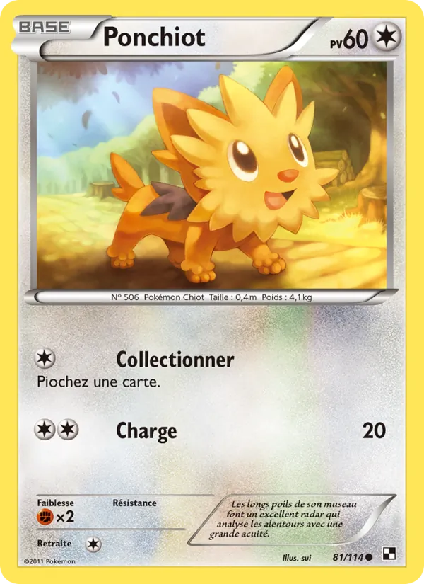 Carte Ponchiot 81/114 – Noir & Blanc