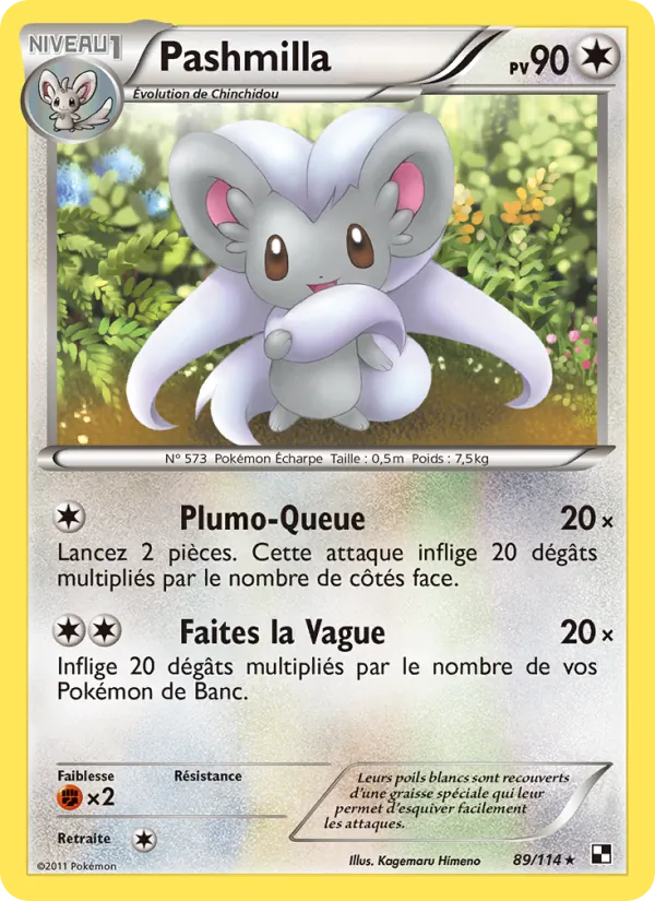 Carte Pashmilla 89/114 – Noir & Blanc