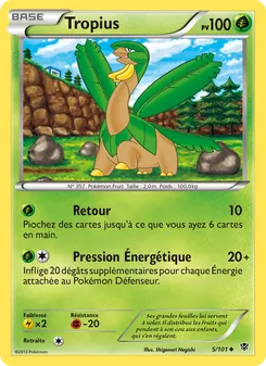 Carte Tropius 5/101 – Explosion Plasma