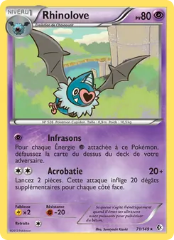 Carte Rhinolove 71/149 – Frontières Franchies