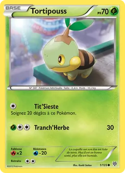 Carte Tortipouss 1/135 – Tempète Plasma