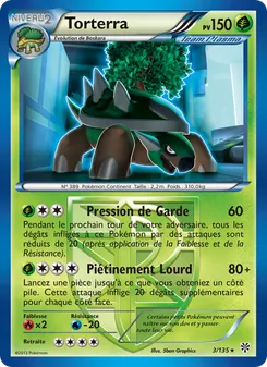 Carte Torterra 3/135 – Tempète Plasma