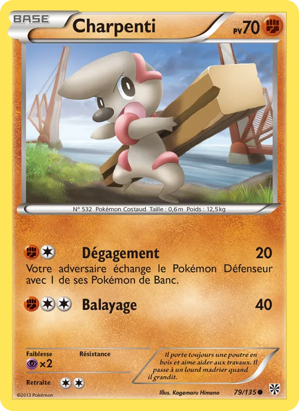 Carte Charpenti 79/135 – Tempète Plasma