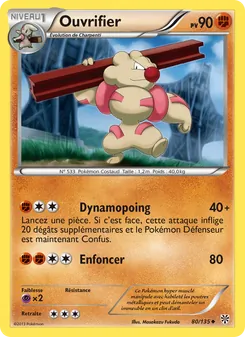 Carte Ouvrifier 80/135 – Tempète Plasma