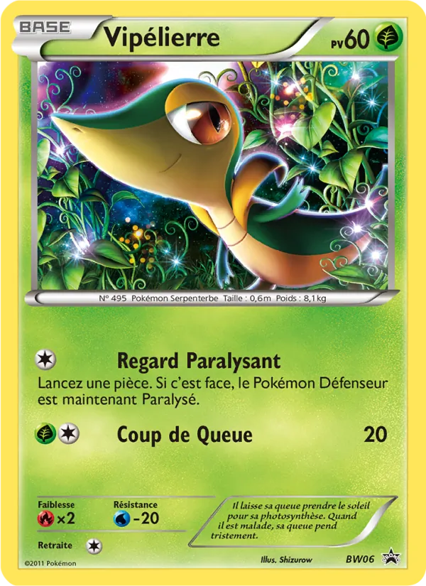 Carte Vipélierre BW06 – Promo BW