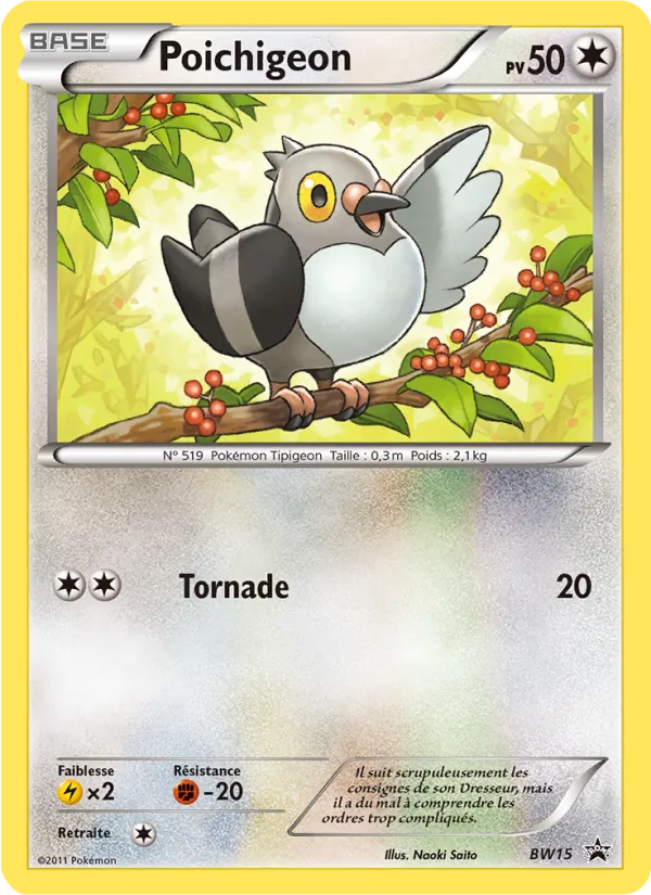 Carte Poichigeon BW15 – Promo BW