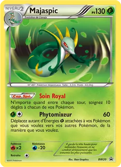 Carte Majaspic BW20 – Promo BW