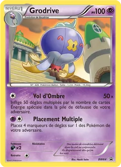 Carte Grodrive BW64 – Promo BW