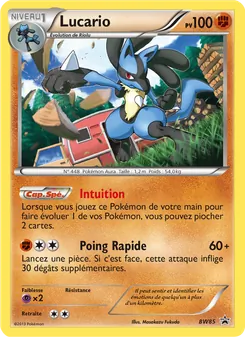 Carte Lucario BW85 – Promo BW