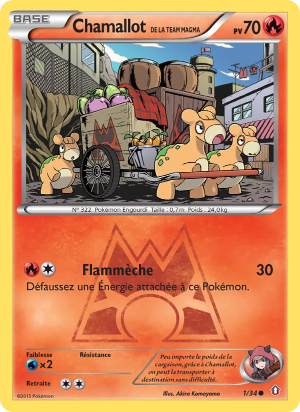 Carte Chamallot de la Team Magma 1/34 – Double Danger