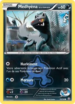Carte Medhyèna de la Team Aqua 16/34 – Double Danger