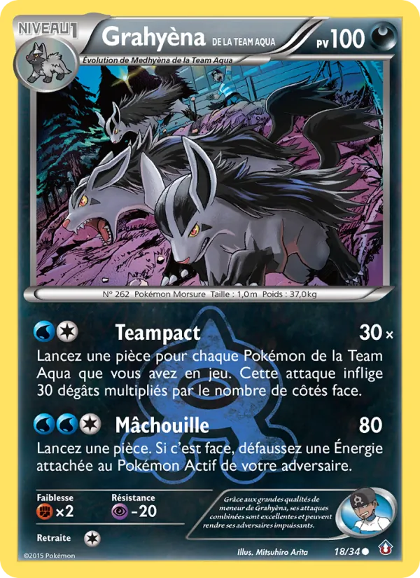 Carte Grahyèna de la Team Aqua 18/34 – Double Danger
