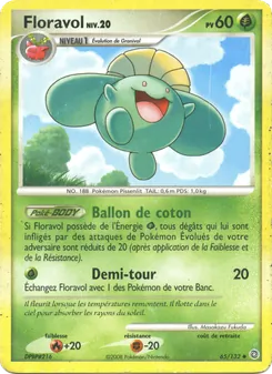 Carte Floravol 65/132 – Merveilles Secrètes