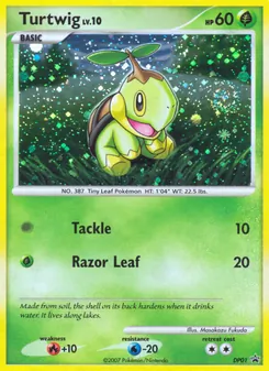 Carte Tortipouss DP01 – Promo DP