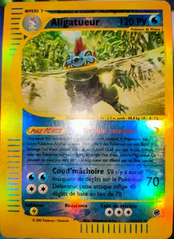 Carte Aligatueur 12/165 – Expedition