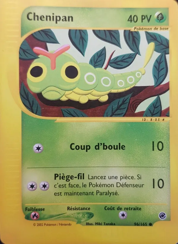 Carte Chenipan 96/165 – Expedition