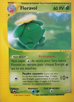 Carte Floravol 60/147 – Aquapolis