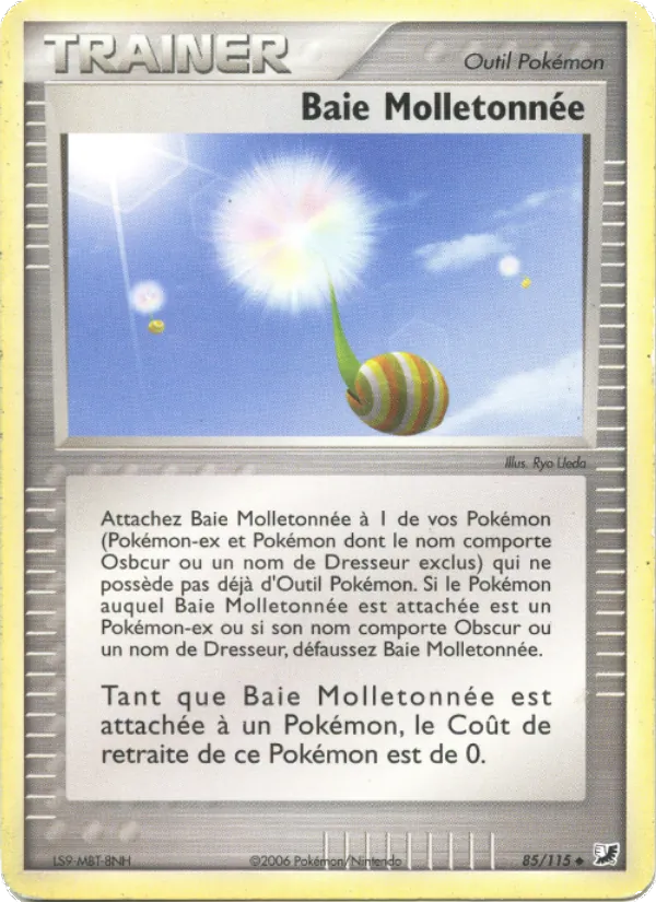 Carte Baie Molletonnée 85/115 – EX Forces Cachées