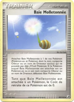 Carte Baie Molletonnée 85/115 – EX Forces Cachées