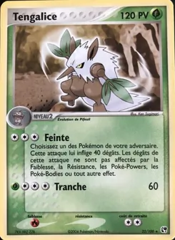 Carte Tengalice 22/100 – EX Tempête de sable