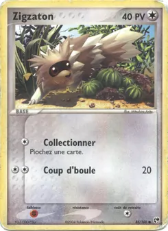Carte Zigzaton 85/100 – EX Tempête de sable