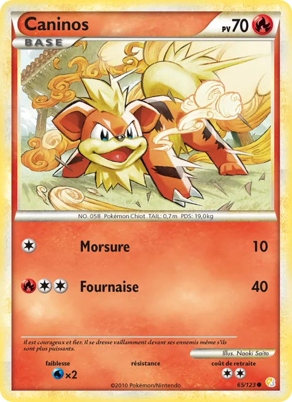 Carte Caninos 65/123 – HeartGold & SoulSilver