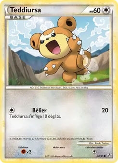 Carte Teddiursa 65/95 – Déchaînement