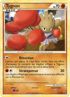 Carte Tygnon 51/90 – Indomptable