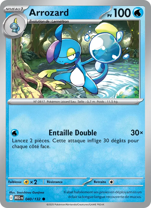 Carte Arrozard 040/132 – Méga-Évolution