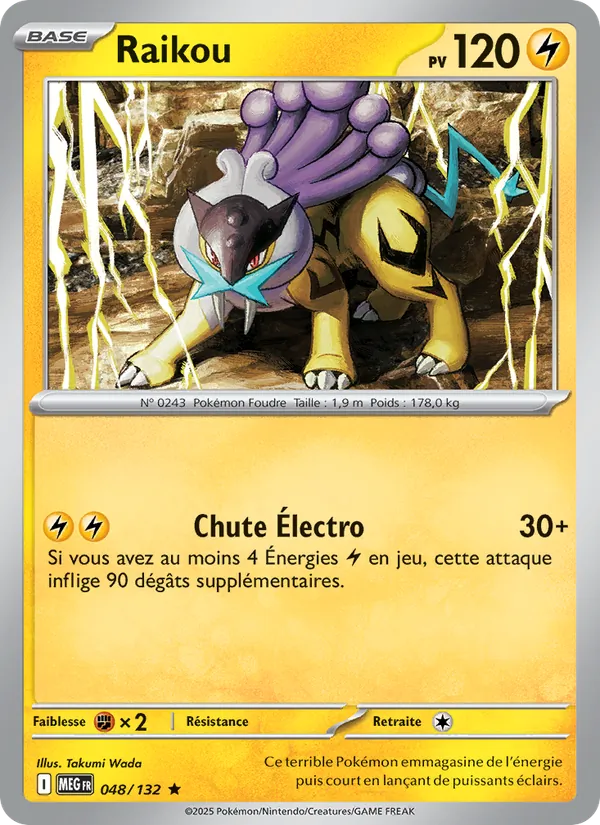 Carte Raikou 048/132 – Méga-Évolution